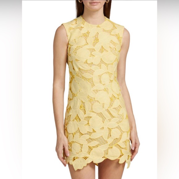 SIMKHAI Mickie guipure lace dress in Natural White. Size See Measurements - Picture 4 of 16